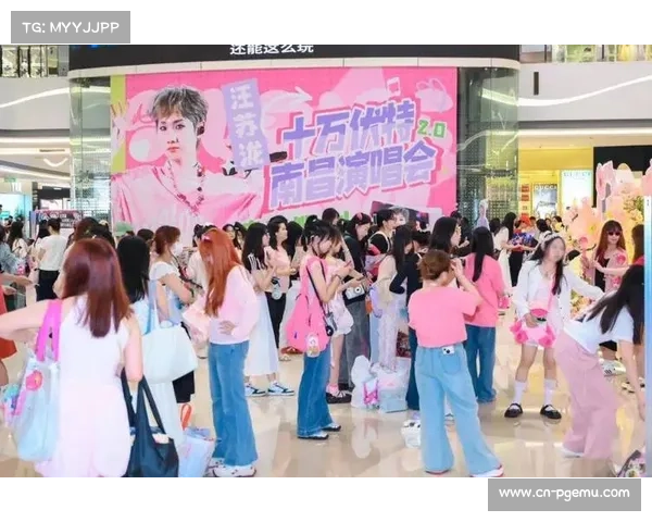 粉丝经济效应扩大 应援产品销售收入翻番